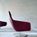 2X Montis Enzo Armchair Design By Geert Koster thumbnail 16