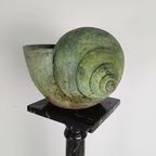 Prachtige Terracotta Slakkenhuis Met Verbazingwekkende Patina thumbnail 9