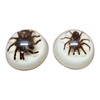 Vintage Opgezette Vogelspinnen In Epoxy Usa thumbnail 4