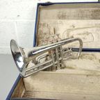 Cornet 'Bermont' thumbnail 4