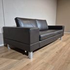 Leolux Antipode Dock - 2,5 Zits Bank - Bruin - Leder -design thumbnail 2