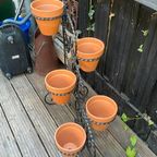 Smeedijzeren Planten Standaard thumbnail 4