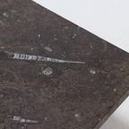 Rare Fossil Stone Coffee Table By Metaform 1970S thumbnail 6
