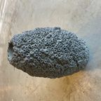 101 Copenhagen | Beehive Tall Vase, Petit - Dark Grey thumbnail 3