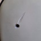 4 Wilkhaen Bureaustoelen(Mogelijk 5) thumbnail 4
