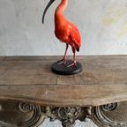 Neo Classical Antique Sculpted Console Table thumbnail 12