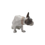 F. Diller Porseleinen Franse Bulldog Rosenthal thumbnail 6
