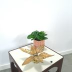 Floral Willy Daro Wandlamp Massive België thumbnail 5