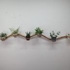 Plantenslang Rotan/bamboe. Plantenhouder Rohé/trio Noordwolde thumbnail 13