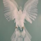 Damien Hirst, The Impossible Truth (detail) thumbnail 2