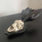 Mini Deer Skull thumbnail 5