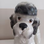 Vintage '80 Xl Poedelbeeld. Handbeschilderde Italiaanse Keramiek. thumbnail 6