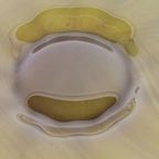 Josef Hospodska - Tsjechië - Glasdesign - Xl Schaal - Chribska Glassworks - 90'S thumbnail 4