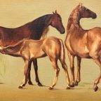 Schilderij "Merries Met Veulens". thumbnail 3