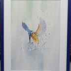 Aquarel "ijsvogel" Christine Desender thumbnail 3