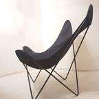 Jorge Ferrari-Hardoy “Bkf” Butterfly Lounge Chair For Knoll, 1970’S thumbnail 6