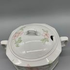 Seltmann Weiden Isabelle Pastel Terrine. thumbnail 6