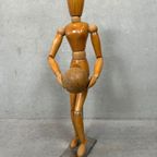 Vintage Set Tekenmodellen (ruimtefiguren En Xl Anatomisch Tekenmodel) thumbnail 7