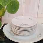 Botervloot Schlaggenwald, Vintage Servies, Mooie Decoratie thumbnail 18