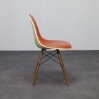 Eames Dsw Chair Fehlbaum For Herman Miller Miller, 1970s thumbnail 4