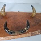 Vintage Koehoorn Mancave Kapstok. thumbnail 7