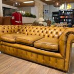 Oude Antieke / Vintage Chesterfield 3 Zits Bank Cognac Bruin thumbnail 5