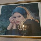 Brigitte Bardot Canvas In Lijst thumbnail 2