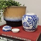 Vintage Gemberpotje Nippon Tokusei Sakura Blossom Patroon Blauw Wit thumbnail 4