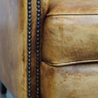Comfortabele En Charmante Rundleren Engelse Stijl Clubfauteuil In Een Mooie Lichte Kleurstelling thumbnail 3