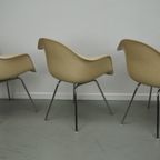 Set Of Three Parchment Fiberglass Dax Armchairs Eames For Herman Miller / Vitra thumbnail 13