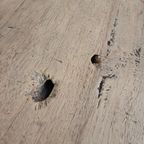 Antieke 19e Eeuwse Franse Boeren Salontafel Van Eikenhout thumbnail 10