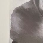 G. O’keeffe (1887-1986), Dark Iris I, 1927, thumbnail 13