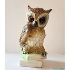 1950'S Perfume Lamp Owl thumbnail 6