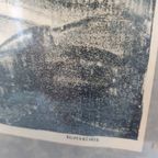 Litho Lithografie/ Lithography / Steendruk Birds / Vogels thumbnail 3