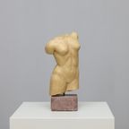 Sculptural Female Torso Signed Ac thumbnail 8