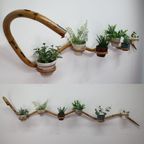Plantenslang Rotan/bamboe. Plantenhouder Rohé/trio Noordwolde thumbnail 18