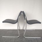 2 “magic Chairs” , Ontworpen Door Ross Lovegrove Voor Fasem thumbnail 6