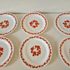 Arcopal Lotus 6 Platte Borden Diner Plates Retro Borden thumbnail 5