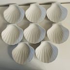 Set Van 8 Schelpschaaltjes thumbnail 4