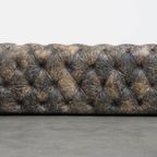 Stoere, Unieke En Moderne Rundleren Chesterfield Bank Met Een Bijzondere Kleurstelling thumbnail 10