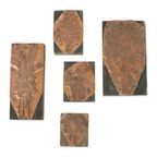 Antieke Printer Plaat Gravure Drukblok Bloemen Koper Hout Set Van 5 thumbnail 5