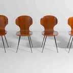 Zeldzame Set Van Mid-century "lulli" Eetkamerstoelen Door Carlo Ratti, Italië 1950 thumbnail 5