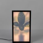 Zuiver Grow Vloerlamp M thumbnail 5
