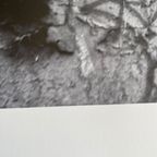 Banksy, Riot Cop, Copyright Panorama London, All Right Reserved , Printed In The Uk thumbnail 10