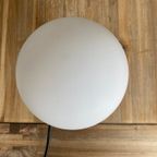 Mushroom Lamp Paddenstoellamp Met Touch Functie thumbnail 5
