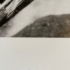 Frida Kahlo ( 1907-1954), Frida Kahlo-foto Akg-images 2013, Printed In Germany thumbnail 3