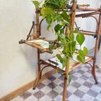 Jaren 60 Etagere Plantentafel Bamboe En Keramiek thumbnail 13