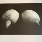 Sabine Kacunko, Out Of Sight I,2000 thumbnail 6