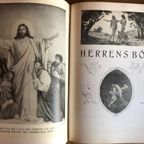 Zweedse Bijbel Uit 1924 thumbnail 14