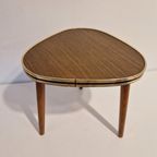 50's Vintage Plantentafel Krukje Jaren 50 Fifties thumbnail 6